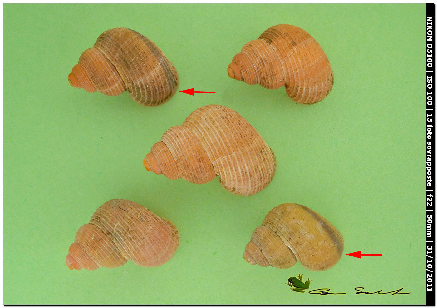 Miscellanea